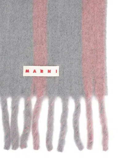 Marni Soft Fringe Striped Scarf In Pink