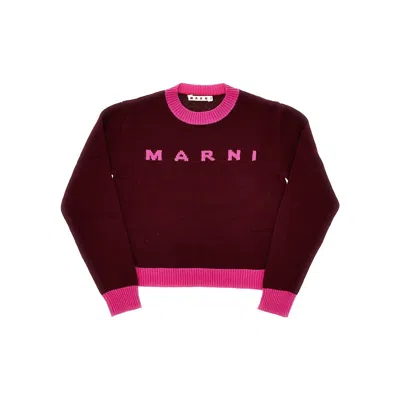 Marni L And Cashmere Sweater With Logo Kids In Brown