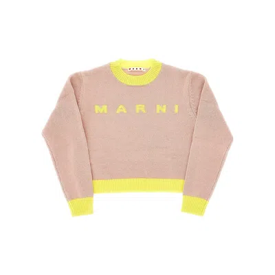 Marni L And Cashmere Sweater With Logo Kids In Brown