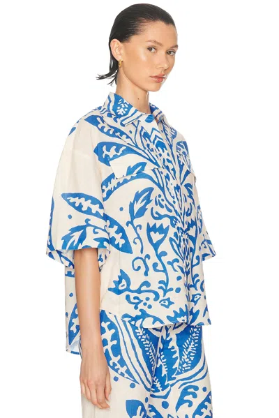 Alexis Farad Top
