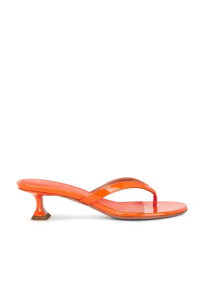 Amina Muaddi Juliette 45 Thong Sandal