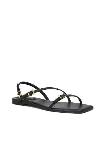 Simkhai Carey Leather Strappy Flat Sandal In Black