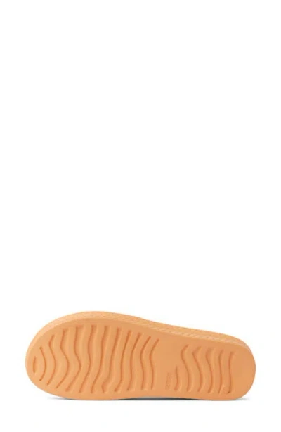 Reef Water Scout Slide Sandal