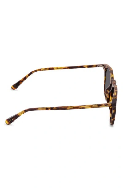 Diff Maxwell Xl 52mm Polarized Square Sunglasses In Brown