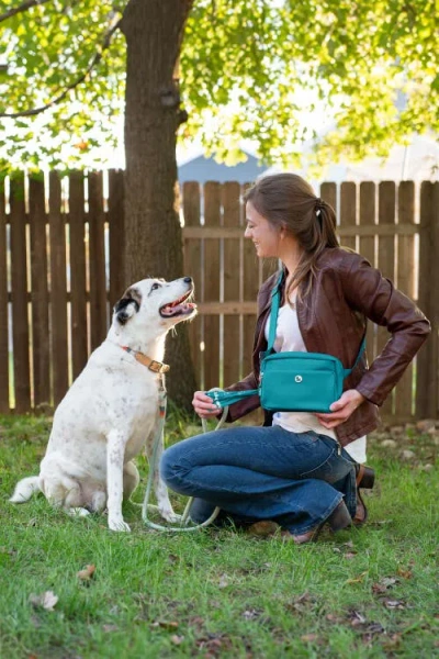 Puppington Walk Star Kit 3-in-1 Dog Walk Bag & Bowl Plus Matching 90 Refill Dog Poop Bags