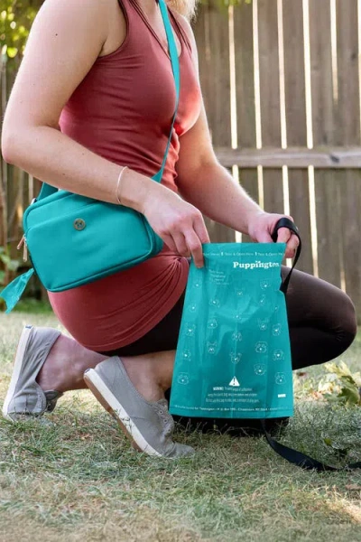 Puppington Walk Star Kit 3-in-1 Dog Walk Bag & Bowl Plus Matching 90 Refill Dog Poop Bags