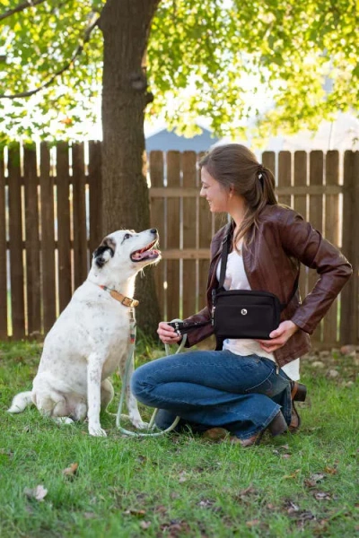 Puppington Walk Star Kit 3-in-1 Dog Walk Bag, Bowl, & Leash Plus Matching 90 Refill Dog Poop Bags