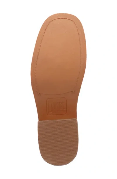 Dingo Casbah Knee High Boot