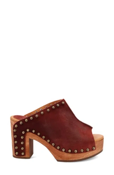 Dingo Echo Clog