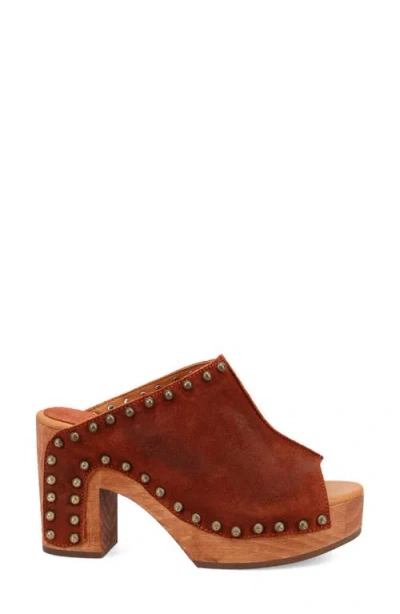 Dingo Echo Clog