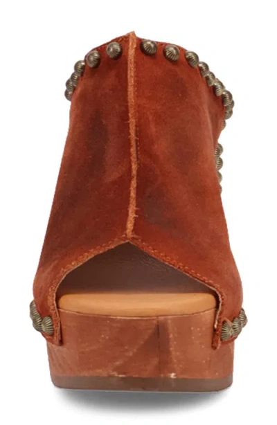 Dingo Echo Clog