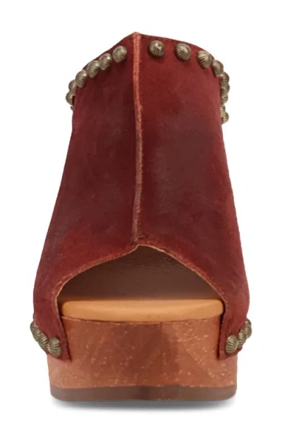 Dingo Echo Clog