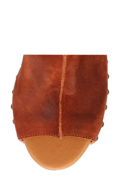 Dingo Echo Clog