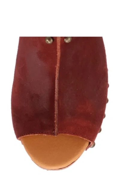 Dingo Echo Clog