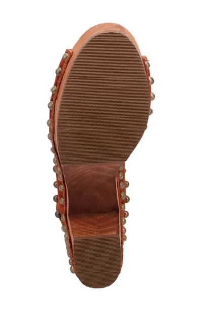 Dingo Echo Clog