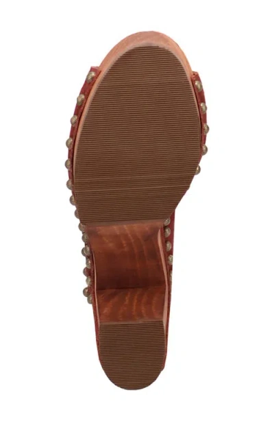 Dingo Echo Clog