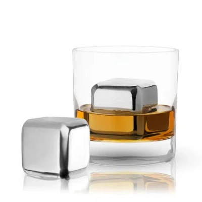 Innovine Large Stainless Steel Ice Cubes Set Of 2
