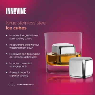 Innovine Large Stainless Steel Ice Cubes Set Of 2