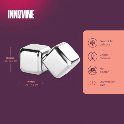 Innovine Large Stainless Steel Ice Cubes Set Of 2