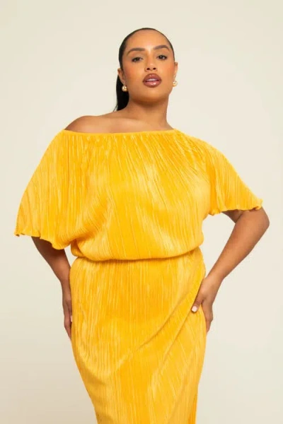 Fashion-szn Curve Plus Size Plisse Midaxi Dress
