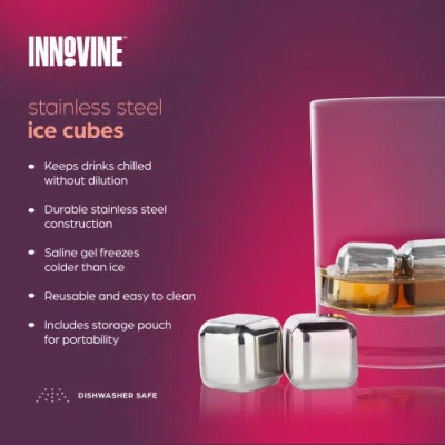 Innovine Stainless Steel Ice Cubes Set Of 4