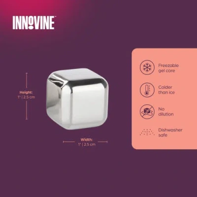 Innovine Stainless Steel Ice Cubes Set Of 4