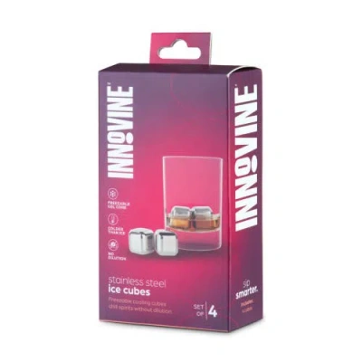 Innovine Stainless Steel Ice Cubes Set Of 4