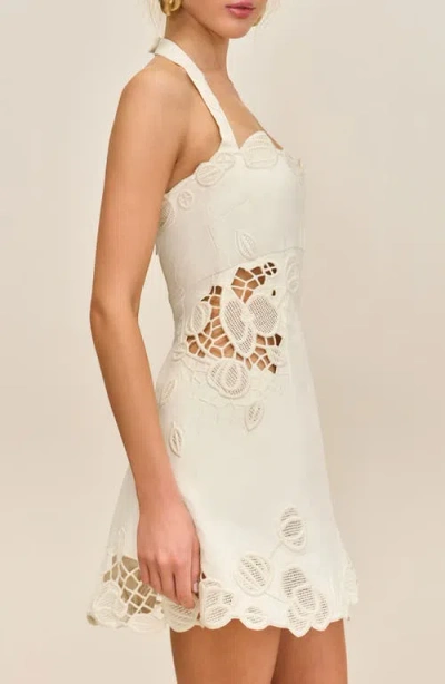 Cult Gaia Matisse Lace Accent Knit Halter Minidress