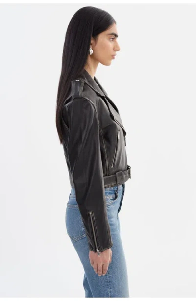 Lamarque Ford | Distressed Leather Jacket In Black