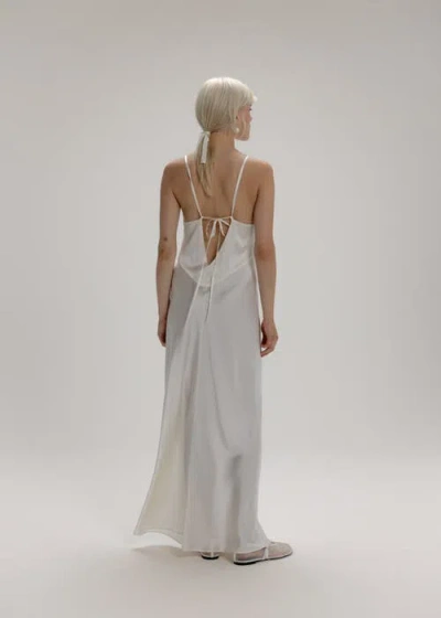 Alas 100 Silk Slip Maxi Dress