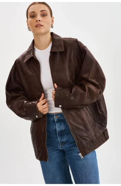 Lamarque Theia | Leather Bomber Jacket In Brown