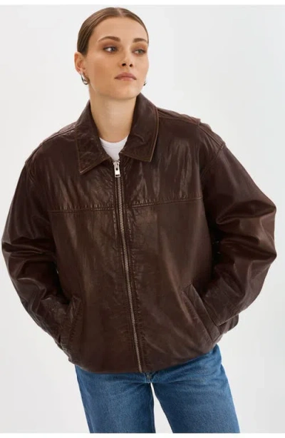 Lamarque Theia | Leather Bomber Jacket In Brown