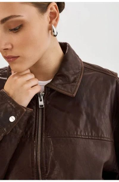Lamarque Theia | Leather Bomber Jacket In Brown