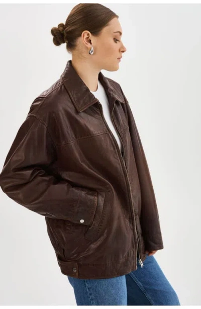 Lamarque Theia | Leather Bomber Jacket In Brown