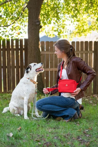 Puppington Walk Star Kit 3-in-1 Dog Walk Bag Plus Matching 90 Refill Dog Poop Bags