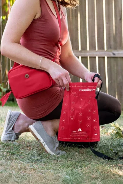 Puppington Walk Star Kit 3-in-1 Dog Walk Bag Plus Matching 90 Refill Dog Poop Bags