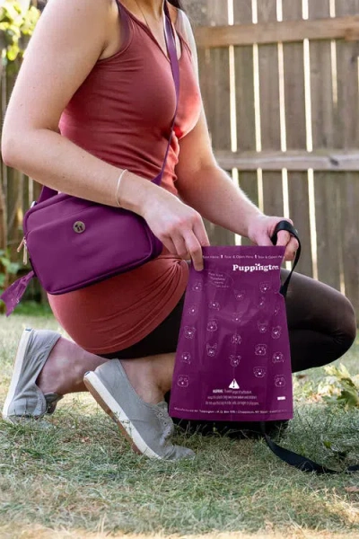 Puppington Walk Star Kit 3-in-1 Dog Walk Bag Plus Matching 90 Refill Dog Poop Bags