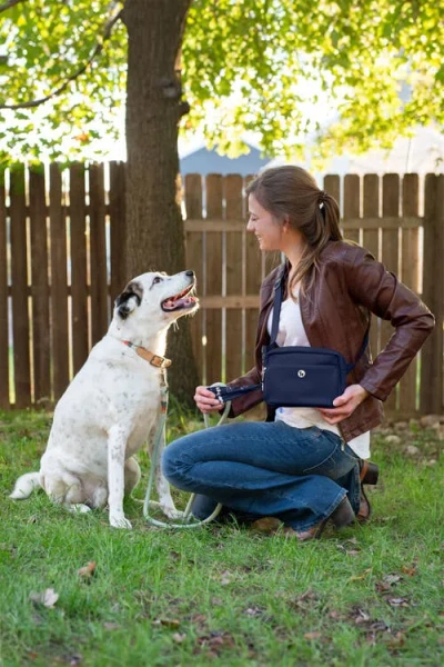 Puppington Walk Star Kit 3-in-1 Dog Walk Bag Plus Matching 90 Refill Dog Poop Bags