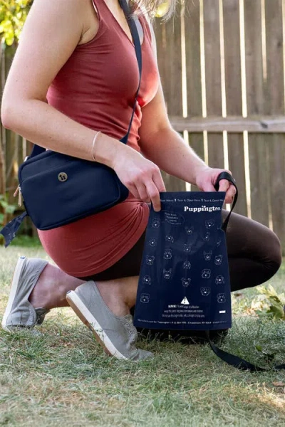 Puppington Walk Star Kit 3-in-1 Dog Walk Bag Plus Matching 90 Refill Dog Poop Bags