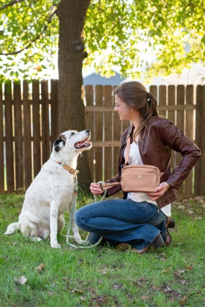 Puppington Walk Star Kit 3-in-1 Dog Walk Bag Plus Matching 90 Refill Dog Poop Bags