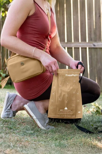 Puppington Walk Star Kit 3-in-1 Dog Walk Bag Plus Matching 90 Refill Dog Poop Bags