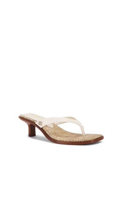 Sam Edelman Dollie Kitten-heel Thong Sandals In White