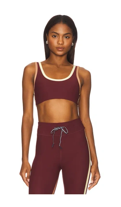 The Upside Trail Harley Scoop Bra In Bordeaux In Burgundy