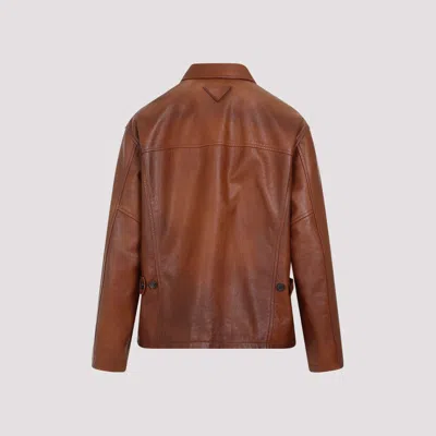 Prada Enamel-logo Leather Jacket In Brown