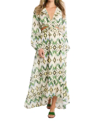 Allison New York Everyly Maxi Dress In Green Ikat