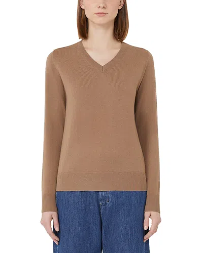 Max Mara Idoneo Wool V Neck Sweater In Brown