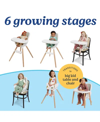 Graco Baby Table2table Lux Highchair