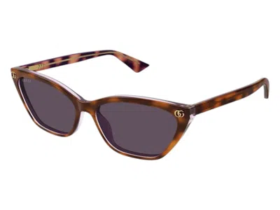 Pre-owned Gucci Women's  Cat Eye Sunglasses In Top/havana/transparent (gg1815s 004)
