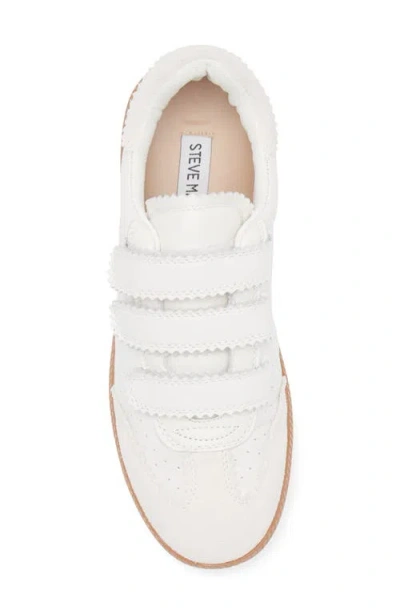 Steve Madden Momentum Sneaker