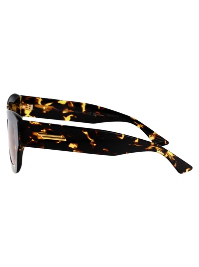 Bottega Veneta Bv1357s Linea Ribbon 003 Havana Brown Sunglasses In Multi